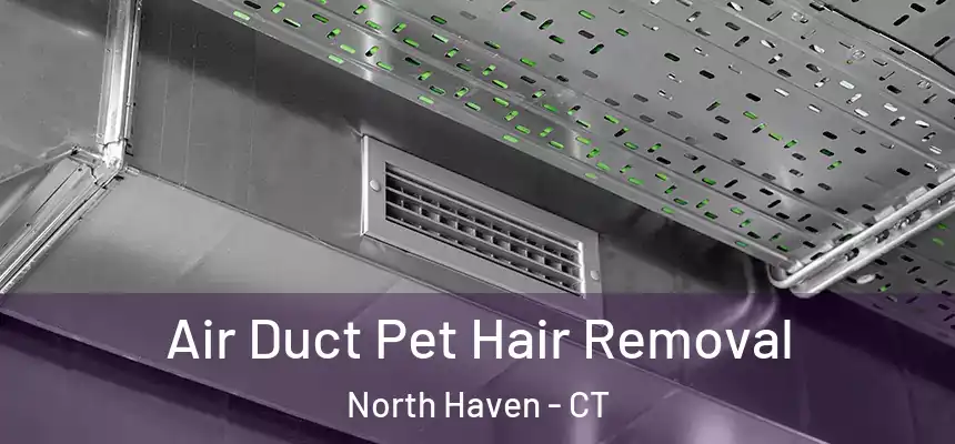 Air Duct Pet Hair Removal North Haven - CT