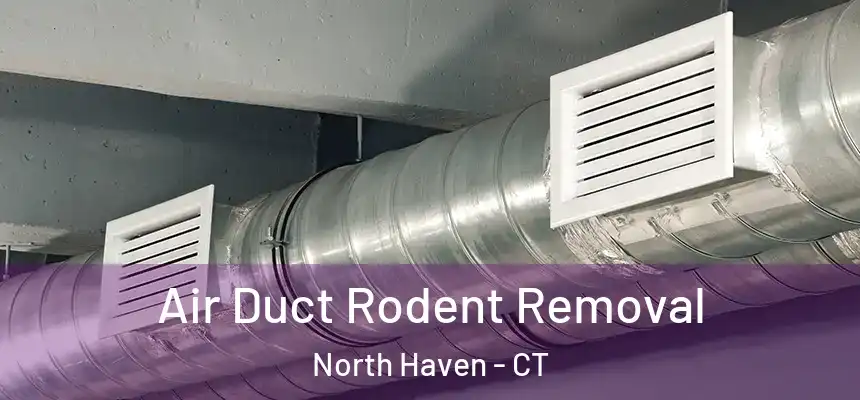  Air Duct Rodent Removal North Haven - CT