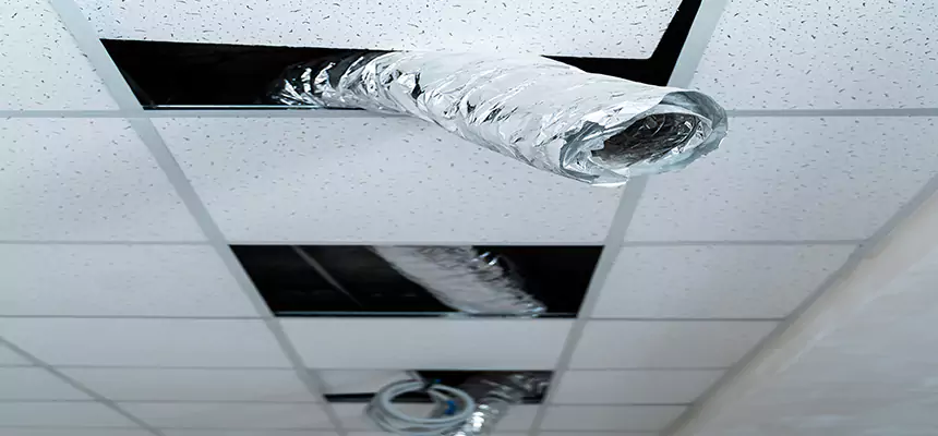 Our Air Duct Pet Hair Removal Services in North Haven, CT