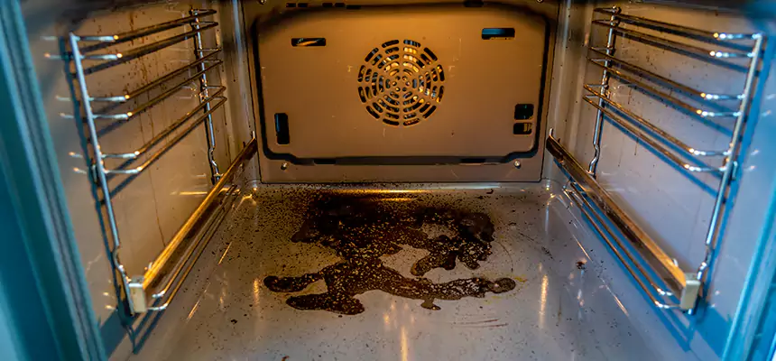 Our Dryer Vent Mold Cleaning Services in North Haven, CT