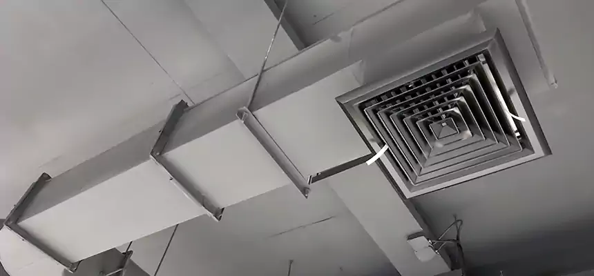 Our Pest Removal From Ducts Services in North Haven, CT