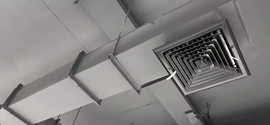 Our Rodent Droppings In Vents Services in North Haven, CT