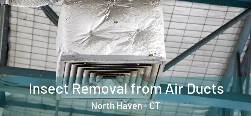  Insect Removal from Air Ducts North Haven - CT