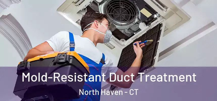  Mold-Resistant Duct Treatment North Haven - CT