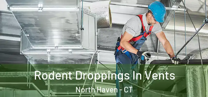 Rodent Droppings In Vents North Haven - CT