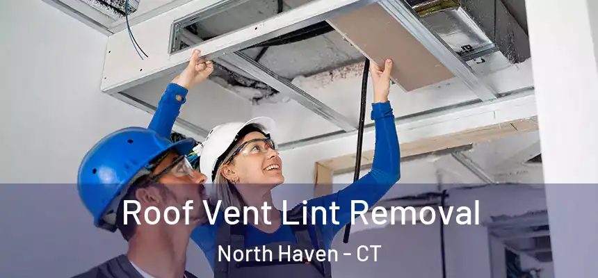  Roof Vent Lint Removal North Haven - CT