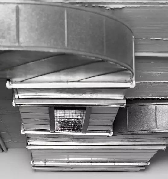 Professional Air Duct Pest Removal in North Haven, CT