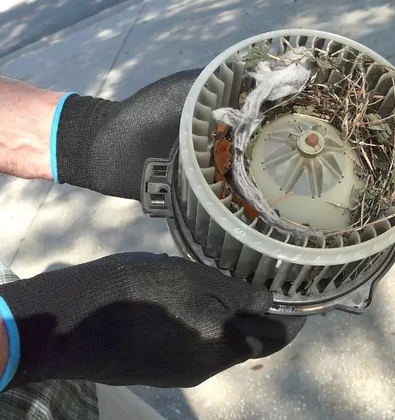 About Air Duct Rat Removal in North Haven, CT