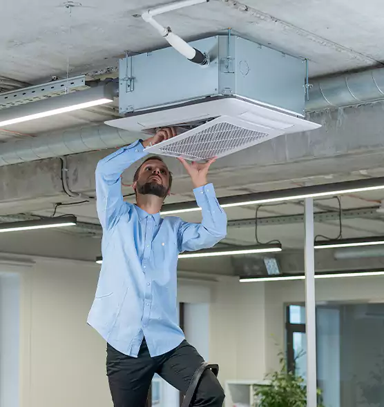 Advanced Rodent Droppings In Vents in North Haven, CT