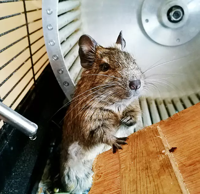 Why Homeowners & Businesses Trust Us North Haven, CT