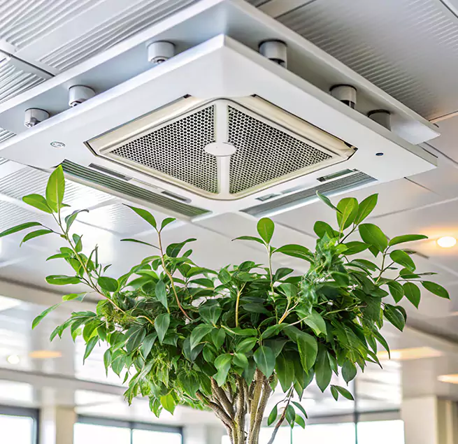 Why Homeowners & Businesses Trust Us in North Haven, CT?